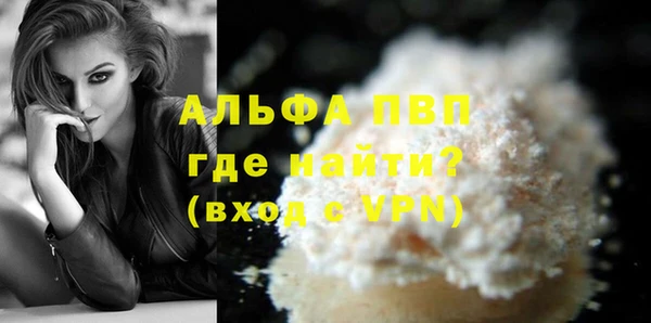 стафф Ладушкин