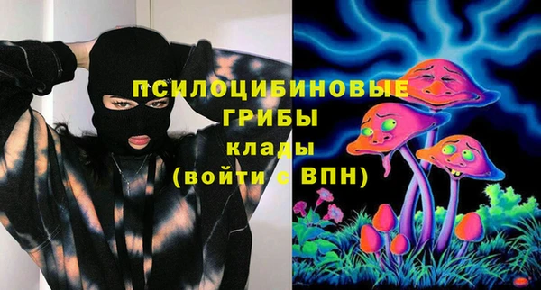 дурь Вяземский