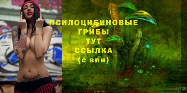 дурь Вяземский