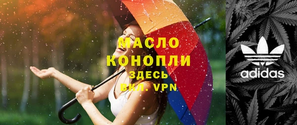 гашик Сосновка