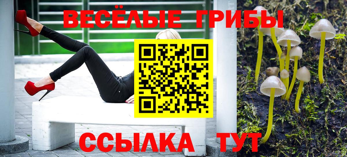 Псилоцибиновые грибы MAGIC MUSHROOMS Мценск