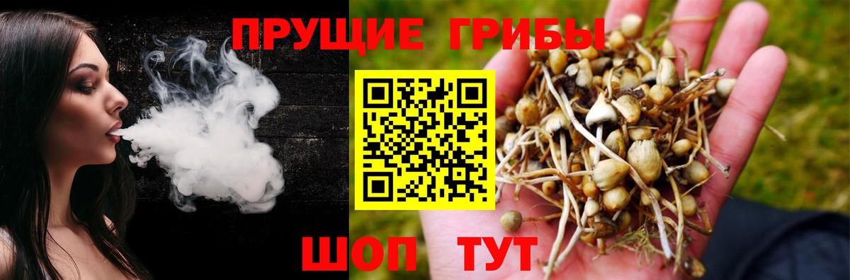 Псилоцибиновые грибы Cubensis  Псилоцибиновые грибы Magic Shrooms  закладки  Вход с VPN  Мценск 